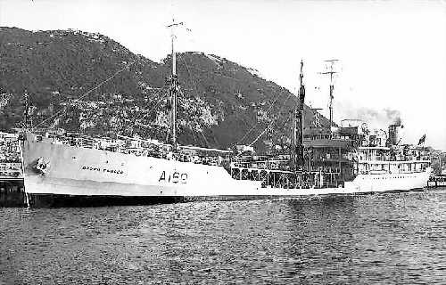 RFA Brown ranger