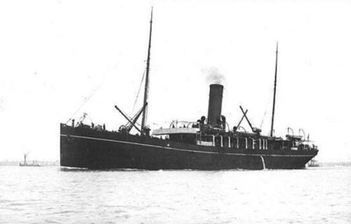 Hirondelle